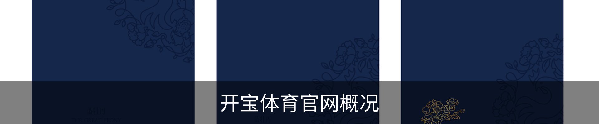 开宝体育官网概况